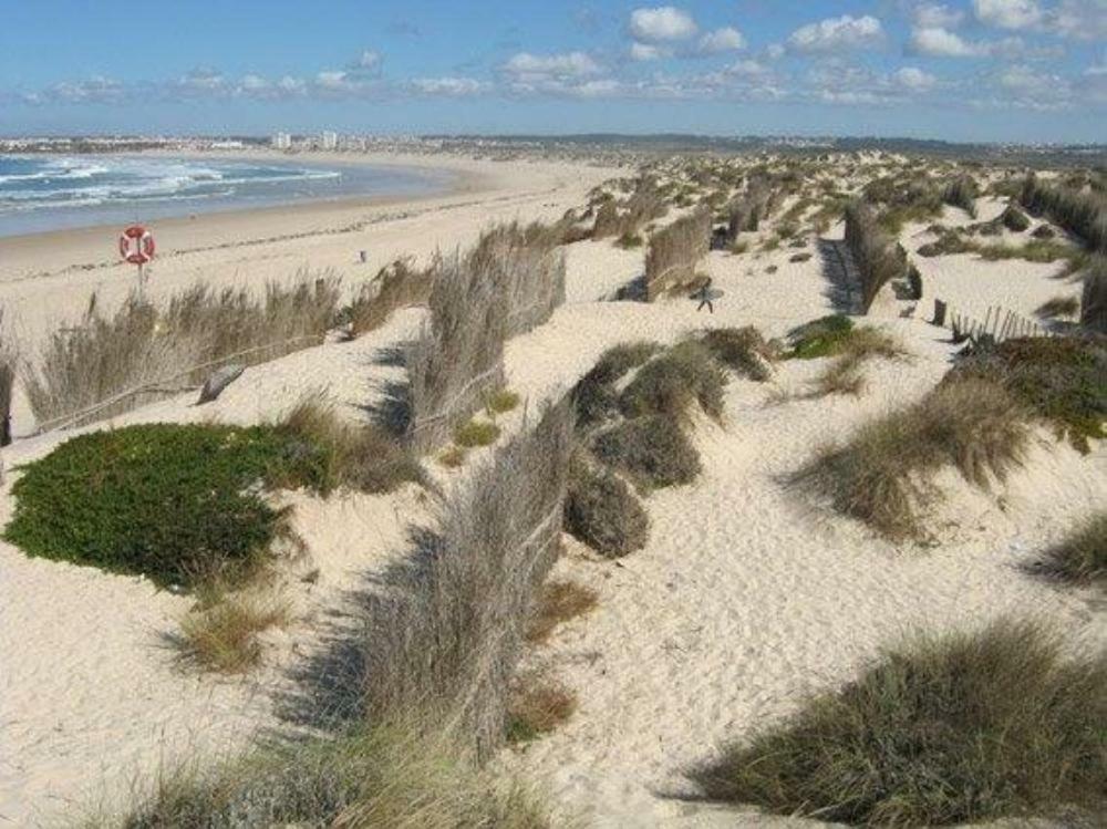 Casa Luisa Apartment Peniche Luaran gambar